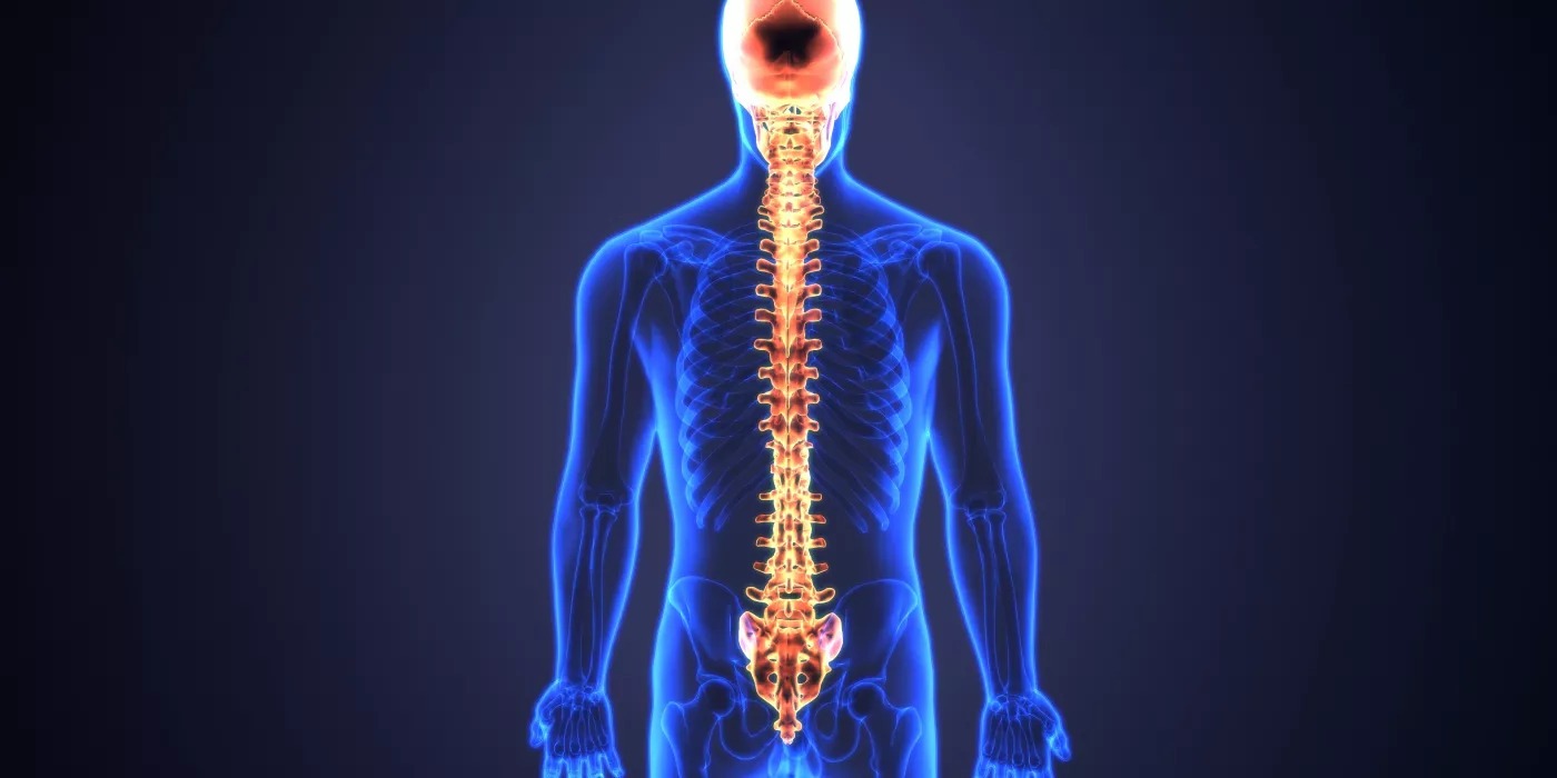 Spinal Cord Injuries